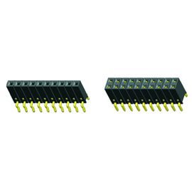 2.54mm Wanita 2 * 5P Dual Row Header Connector Centipede Foot Mother Connector